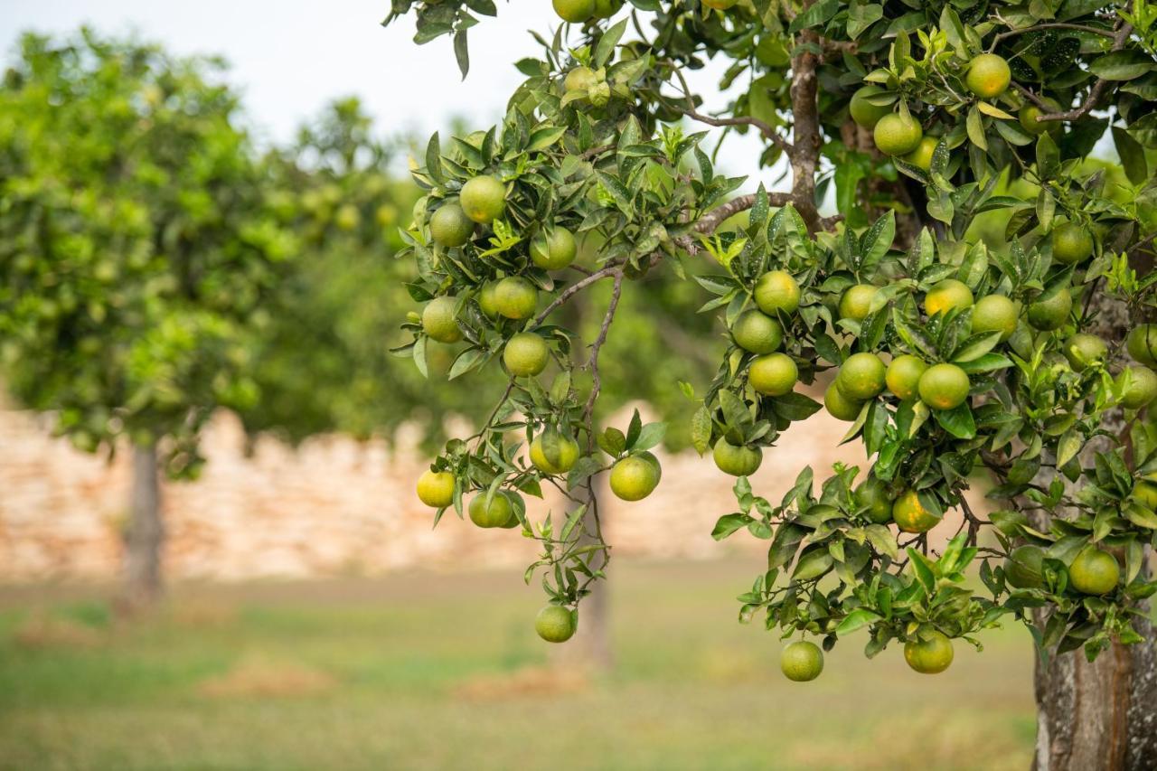 Agroturismo Safragell Ibiza Suites & Spa Sant Llorenc de Balafia Buitenkant foto